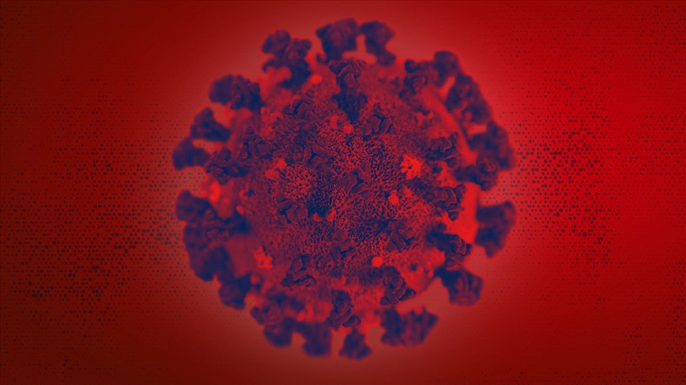 Virus Corona mới. Ảnh: Sky.