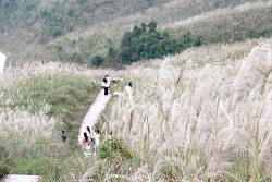 chinh phuc song lung khung long va cot moc bien gioi cao nhat quang ninh