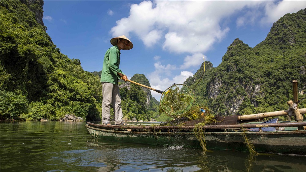 Nhân viên lái đò tại Bến thuyền Tràng An vớt rác trên sông. Ảnh: Nguyễn Trường