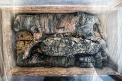 Mục sở thị bộ sưu tập xác ướp Ai Cập khổng lồ vừa khai quật