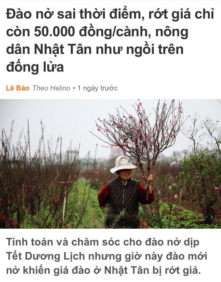 thuc hu cau chuyen dao nhat tan no som rot gia tham