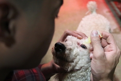 cuoc doi lam canh cua chi em sinh nam noi tieng