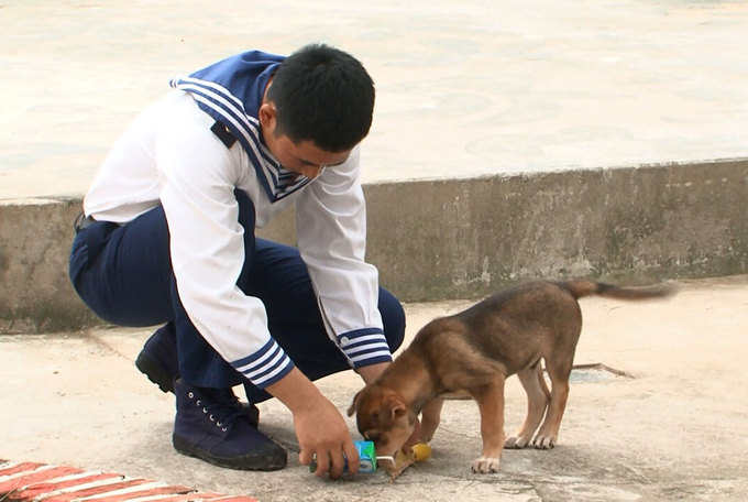 nhung chu cho o truong sa