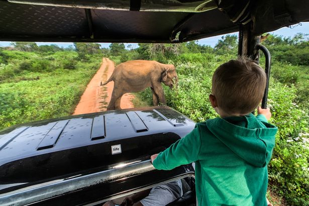 Phát ghen với cuộc sống của cậu bé 2 tuổi đi khắp thế giới phat ghen voi cuoc song cua cau be 2 tuoi di khap the gioi