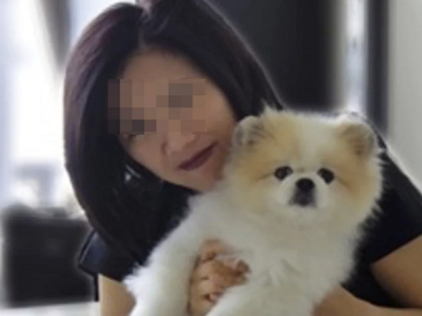 Chú chó đầu tiên nhiễm Covid-19 đã chết