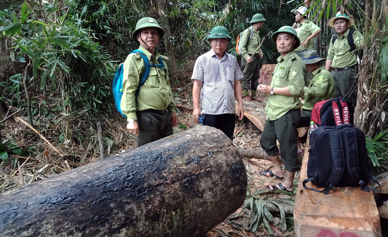 quang nam dong loat 3 tram truong kiem lam bi dinh chi cong tac