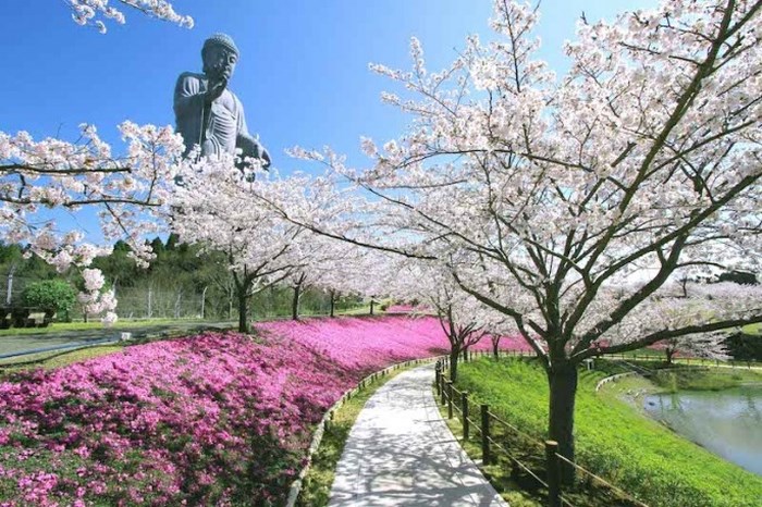 den nhat ban kham pha ibaraki voi nhung dia diem di hoai khong chan