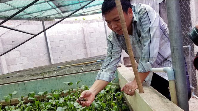 nam thanh nien nuoi ca cuong thu nhap hang tram trieu dong o sai gon