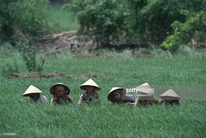 hinh anh de doi ve phu nu viet nam thap nien 1990