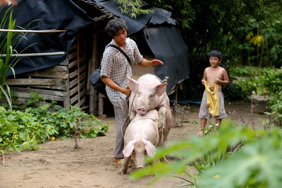 nhieu nha lam phim tu choi gui tac pham tham gia canh dieu vang