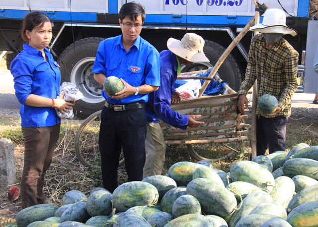 quang ngai bat chap canh bao hang ngan tan dua lai cho giai cuu