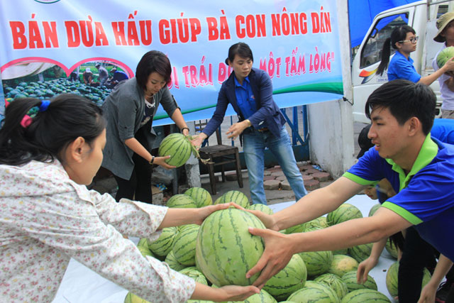 quang ngai bat chap canh bao hang ngan tan dua lai cho giai cuu