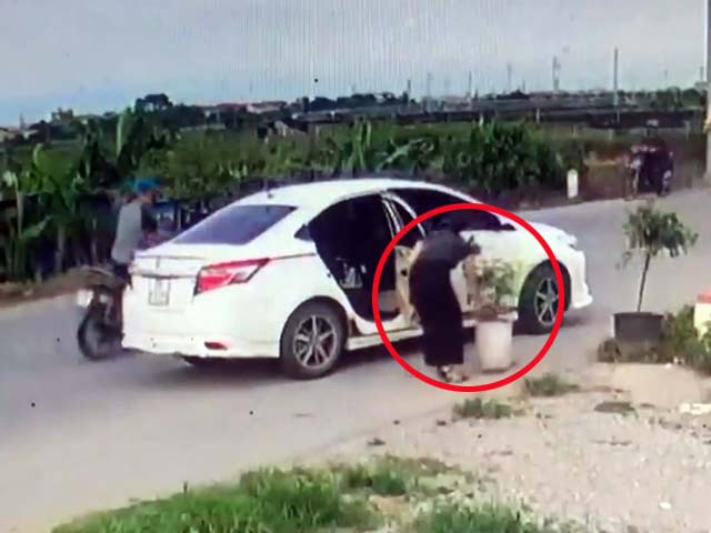 Clip: Kiều nữ đi xế hộp thản nhiên trộm chậu hoa ven đường clip kieu nu di xe hop than nhien trom chau hoa ven duong