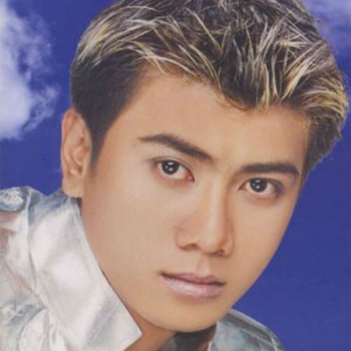 cat xe hang tram trieu ly do gi loat sao nam viet mat tich khi dang o dinh cao