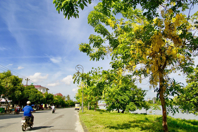 ngan ngo truoc ve dep ruc ro hoa bo cap vang no ro khap co do hue