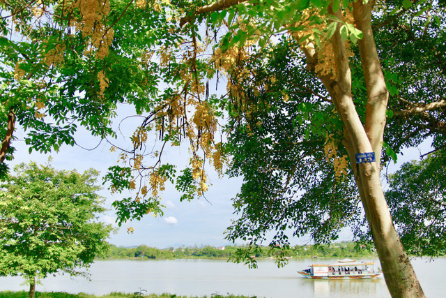 ngan ngo truoc ve dep ruc ro hoa bo cap vang no ro khap co do hue