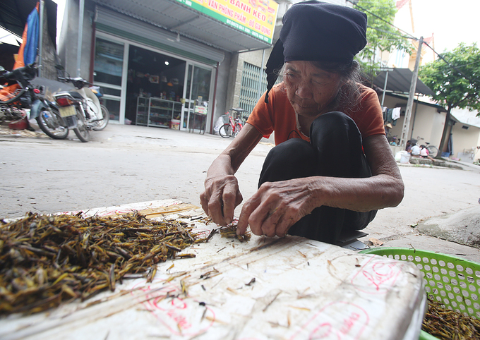 anh doc dao ngoi lang vao mua nhat canh chau chau