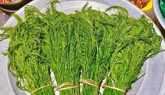 ky la nhat hanh tinh ca vua biet lan vua biet leo cay o viet nam