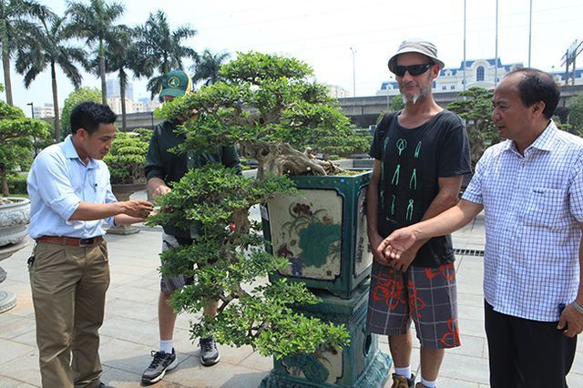 ky la nhat hanh tinh ca vua biet lan vua biet leo cay o viet nam