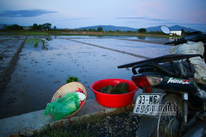 nong nghet tho vo chong lao nong ha noi nua dem roi den di cay