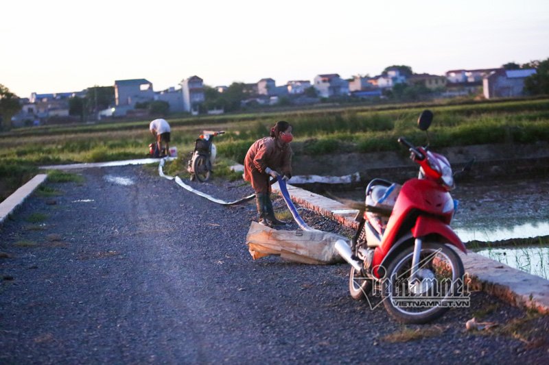 nong nghet tho vo chong lao nong ha noi nua dem roi den di cay