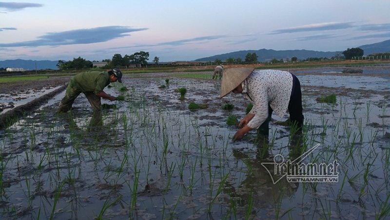 nong nghet tho vo chong lao nong ha noi nua dem roi den di cay