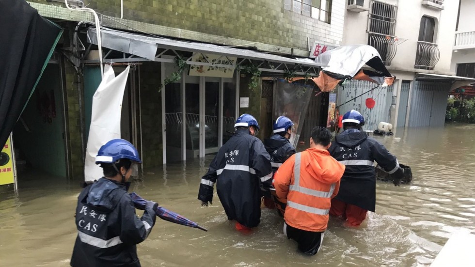 hong kong te liet vi bao hato