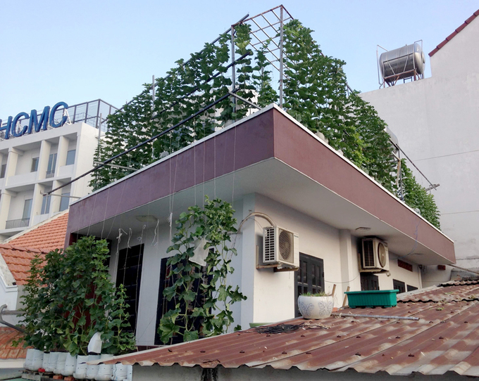 vuon dua mai nha triu qua cua ky su sai gon