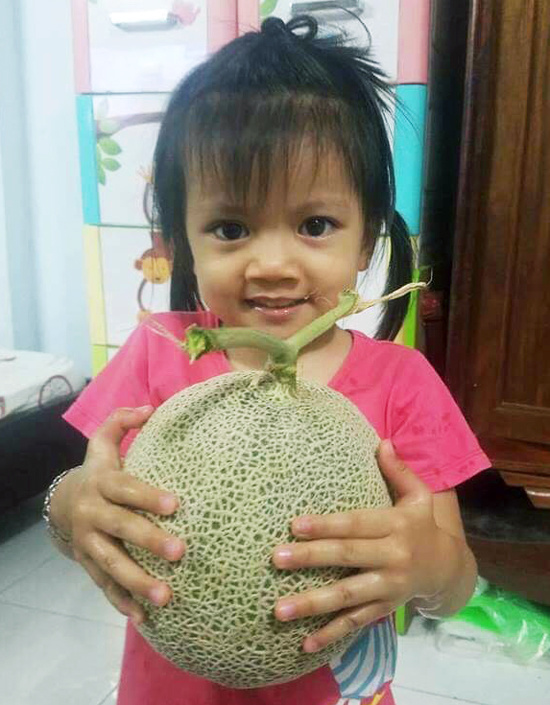 vuon dua mai nha triu qua cua ky su sai gon