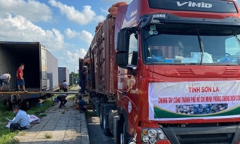 105 tấn nông sản từ Sơn La chuyển vào TP.HCM hỗ trợ người dân chống dịch
