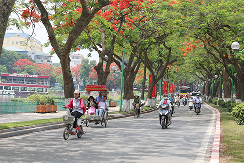 bac bo nang rao nam bo mua dip nghi le 29