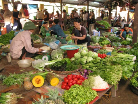 rau xanh tang gia gap doi do thoi tiet mua nhieu