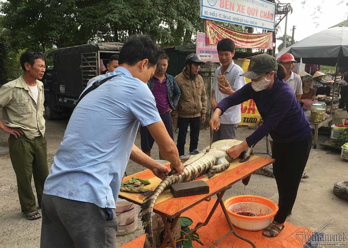 on lanh canh chich dien giet ca sau o thu phu da do