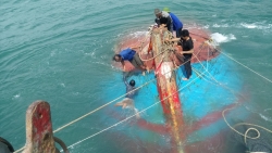 Tàu cá Quảng Ngãi bị chìm ở vùng biển Cù Lao Chàm