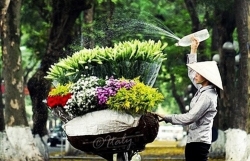 nhung ngo pho doc dao cua ha noi