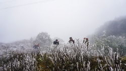 bang tuyet phu trang dinh nui fansipan du kien dem nay se day hon