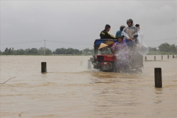 dap tran bi vo do mua lu 80ha ruong khong co nuoc gieo sa