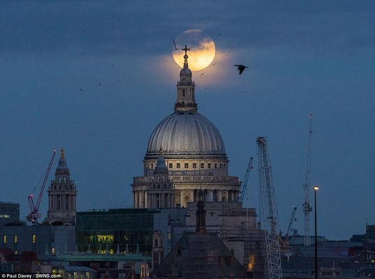 chiem nguong trang soi cuc an tuong ngay dau nam moi
