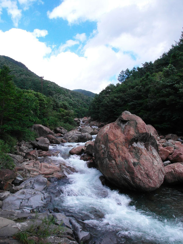 tat tan tat nhung diem an choi thu vi tai que huong hlv park hang seo