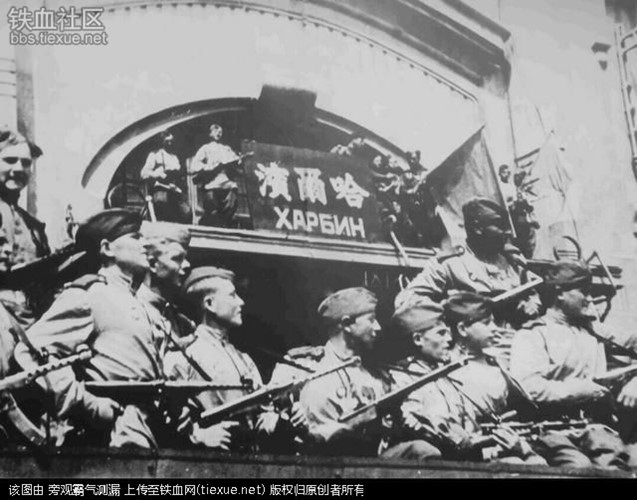 dao quan quan dong va con ac mong cua ca dong a