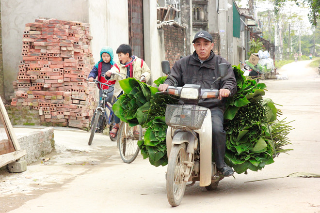 vua la dong lon nhat ha noi vao vu nguoi trong thu tien trieu moi ngay