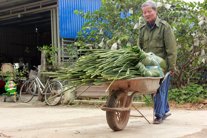 vua la dong lon nhat ha noi vao vu nguoi trong thu tien trieu moi ngay