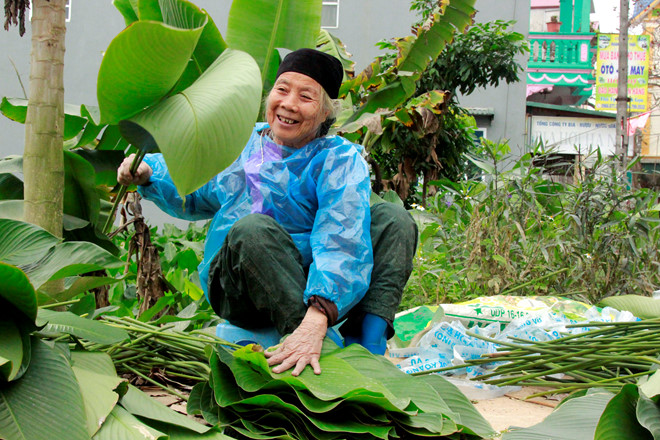 vua la dong lon nhat ha noi vao vu nguoi trong thu tien trieu moi ngay