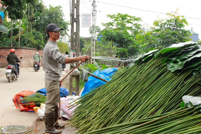 vua la dong lon nhat ha noi vao vu nguoi trong thu tien trieu moi ngay