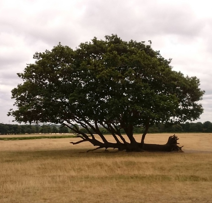 dieng hon truoc nhung sieu pham ky dieu khap the gioi