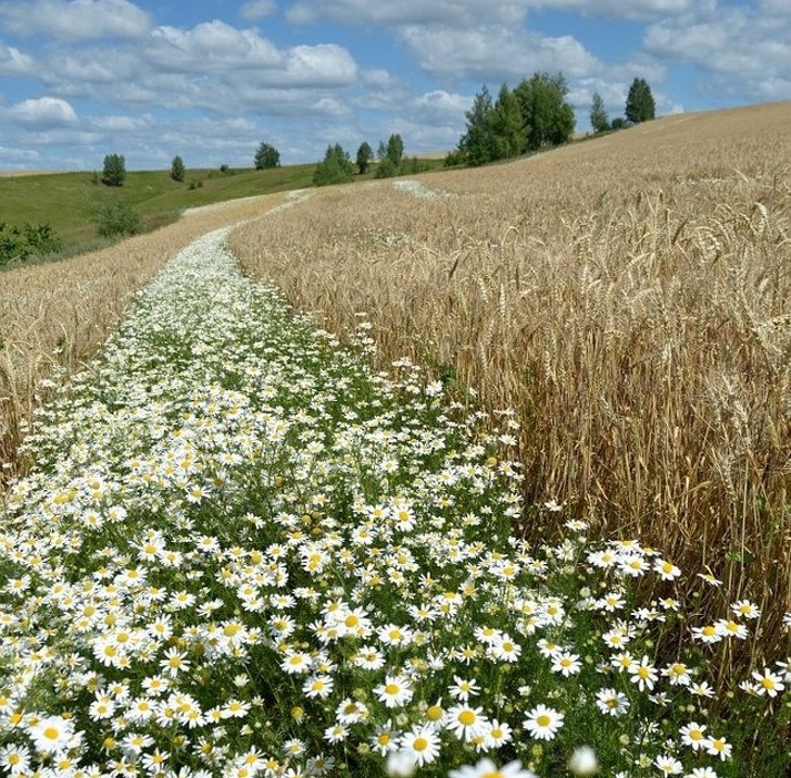 dieng hon truoc nhung sieu pham ky dieu khap the gioi
