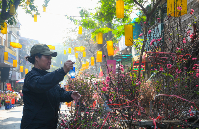 ghe cho hoa ha noi chi hop mot lan trong nam vao dip tet