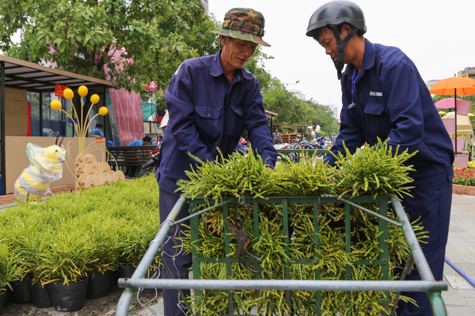 toan canh duong hoa nguyen hue truoc gio khai mac