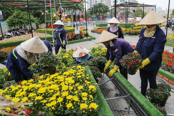 toan canh duong hoa nguyen hue truoc gio khai mac