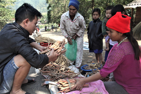 bang rung tim sam nui ban tet